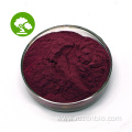 High Quality Natural Food Supplements Black Currant Powder